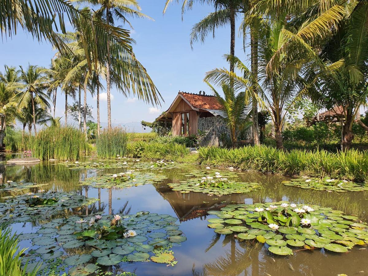 Borobudur Bed & Breakfast Magelang Exteriér fotografie