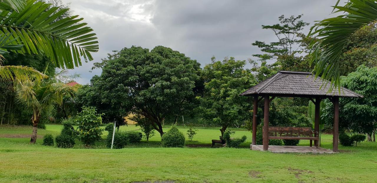 Borobudur Bed & Breakfast Magelang Exteriér fotografie